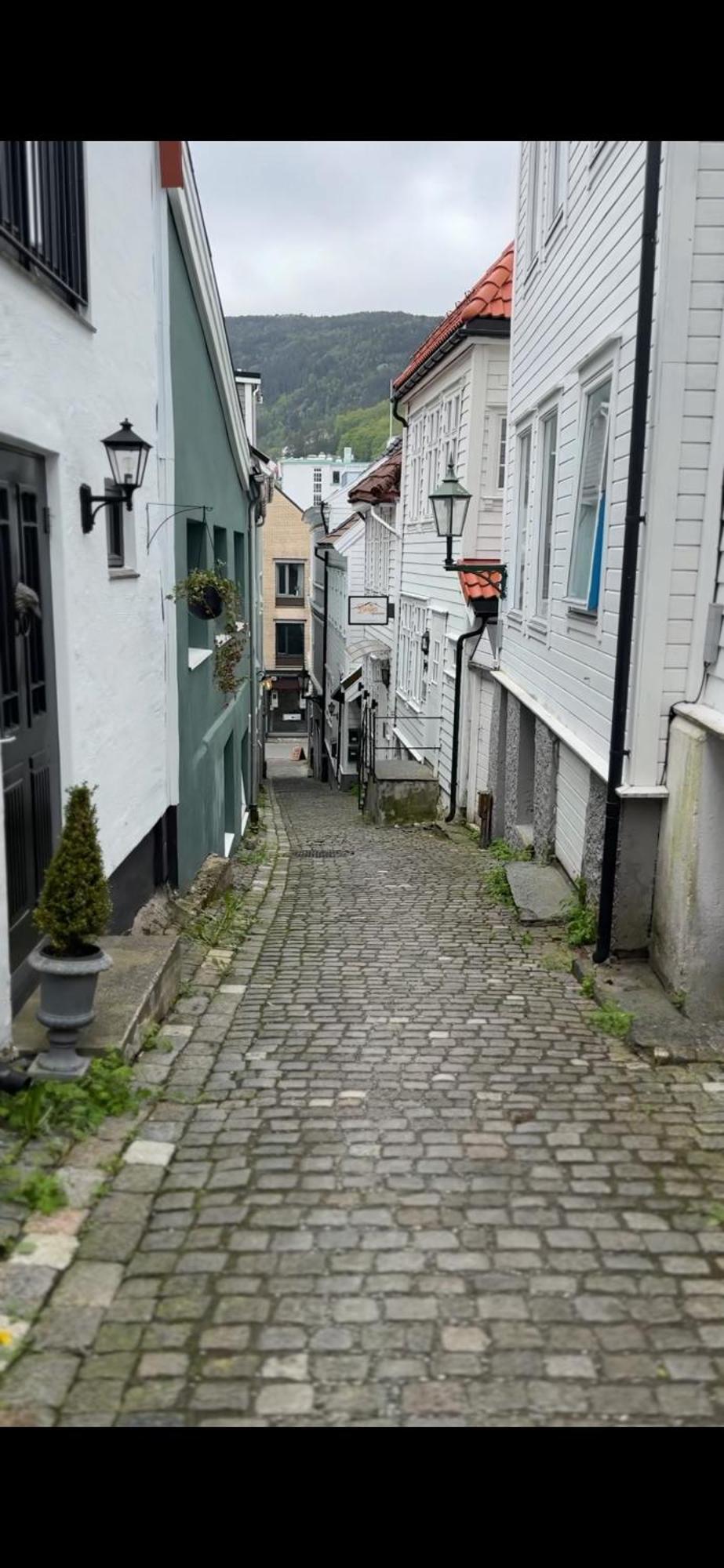 The Dreamhouse - Inner City Center - Old Town Bergen Dış mekan fotoğraf